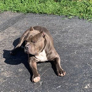 Meet your Posher, Jose a